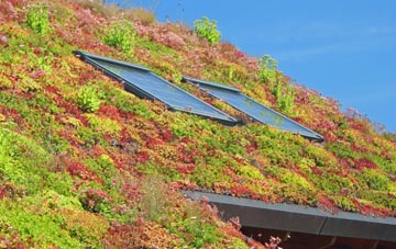 Houstry living roof systems