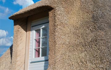 Houstry thatch roof disadvantages